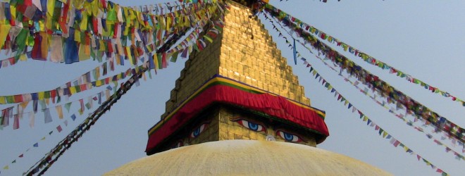 The authentic Ayurveda